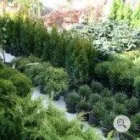 3 obrázok firmy GINKA S.R.O.KOŠICE v Košice KI