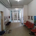 3 obrázok firmy MVDR. KATARÍNA PEKÁROVÁ Veterinár v Bratislava BL