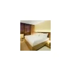 3 obrázok firmy NH GATE ONE HOTEL v Bratislava BL