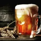 7 obrázok firmy PIVÁREŇ U LENIVCA Bar v Bratislava BL