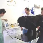 1 obrázok firmy VETERINÁRNA KLINIKA VRAKUŇA v Bratislava BL