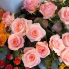 8 obrázok firmy VIGH & VIGH - KVETY A DEKORÁCIE Florista v Bratislava BL