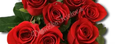 2 obrázok firmy AMARYLIS - KVETINÁRSTVO Florista v Bratislava BL
