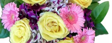 12 obrázok firmy AMARYLIS - KVETINÁRSTVO Florista v Bratislava BL