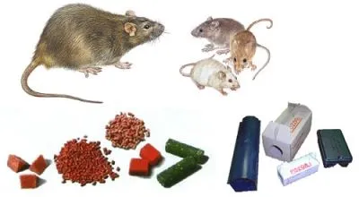 3 obrázok firmy MARIÁN KOCO INSEKTA BIO